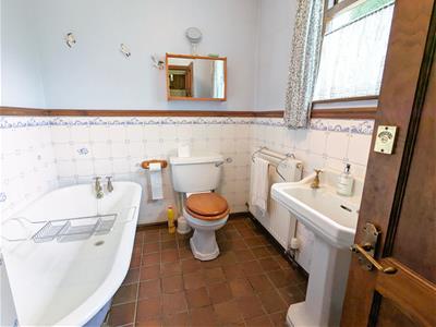 Picture 16